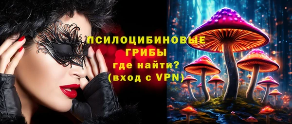 apvp Балахна